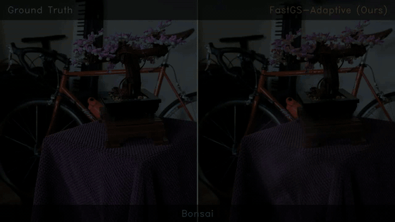 bonsai